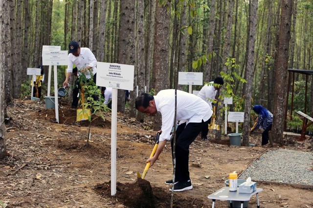 OIKN tanam 600 pohon di Miniatur Hutan Hujan Tropis Nusantara