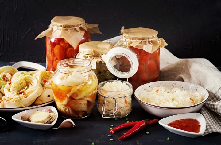 Fermentasi