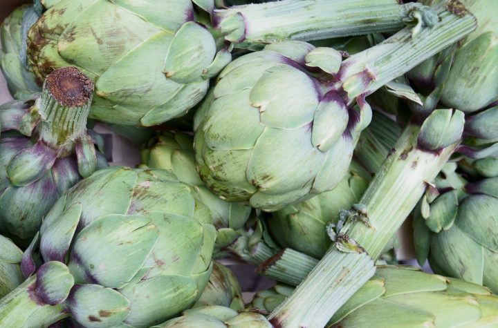 Artichoke