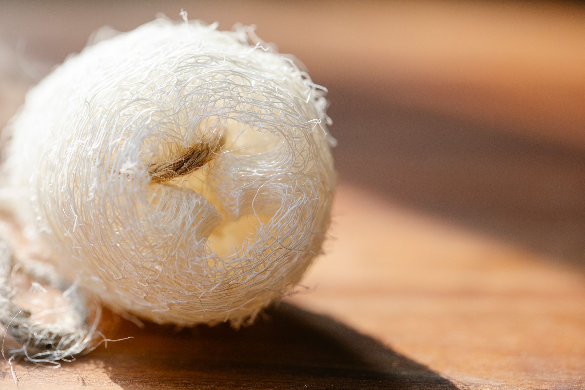Loofah