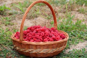 manfaat raspberry