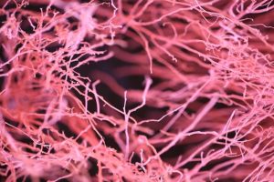 Kenali neuron